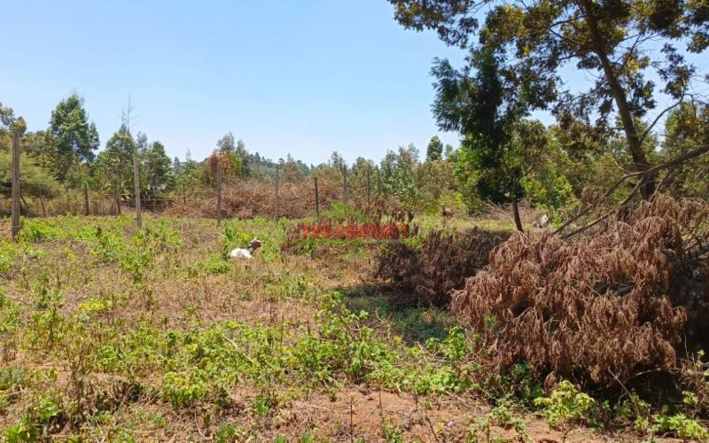 Ready To Build Residential 100by100 Plot In Kamangu, Kikuyu