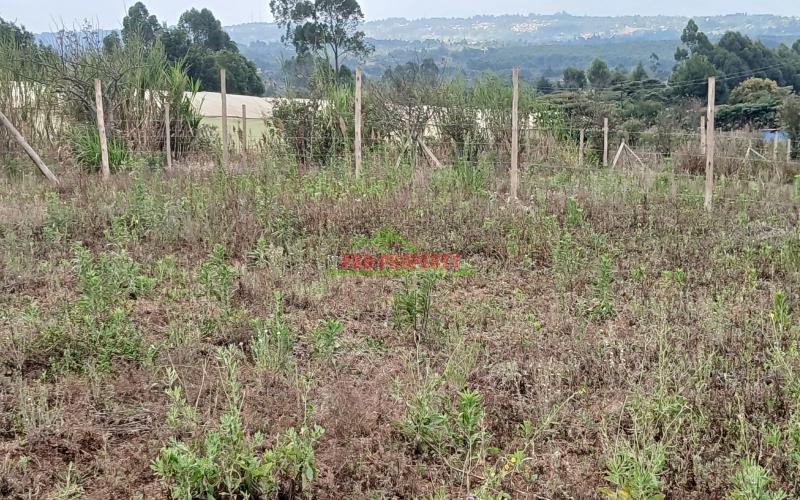 Prime Residential 50 By 100 Plot For Sale