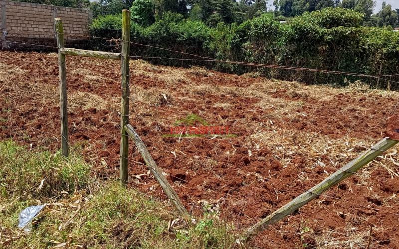 Prime Residential 50 By 100 Plot For Sale