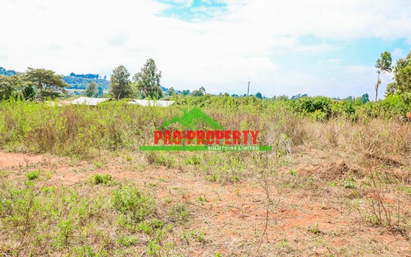 Ready To Build Plots For Sale In Lusingeti