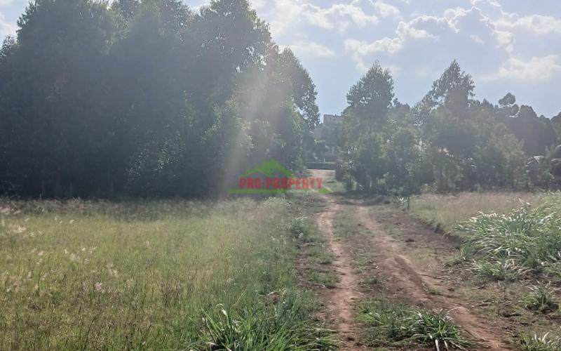 Ready To Build Plots For Sale In Kamangu