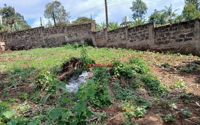 Prime Residential 50 By 100 Plot For Sale