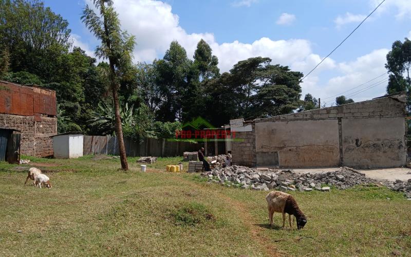 Prime Residential 100 By 100 Plot For Sale