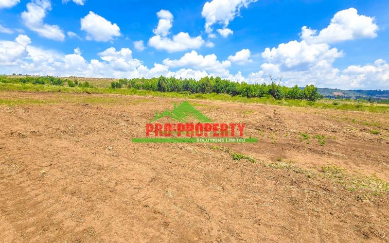 Prime Residential 50 By 100fts Plot For Sale In Kikuyu, Nachu