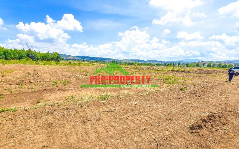 Prime Residential 50 By 100fts Plot For Sale In Kikuyu, Nachu