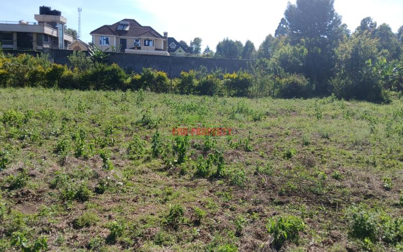 Prime Residential 50x100fts Plot For Sale In Kikuyu,gikambura-jambu Tv