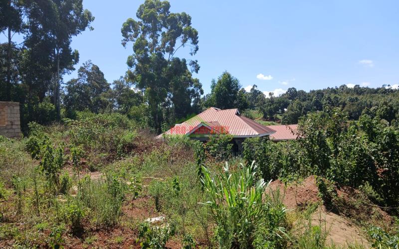 Prime 100 By 100ft  Residential  Plot For Sale In Kikuyu,gikambura