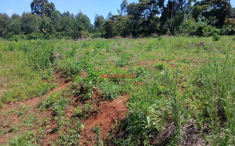 Prime 100 By 100ft  Residential  Plot For Sale In Kikuyu,gikambura