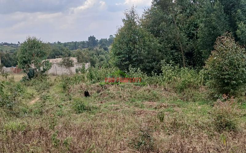 Prime Residential 50 By 100 Plot For Sale