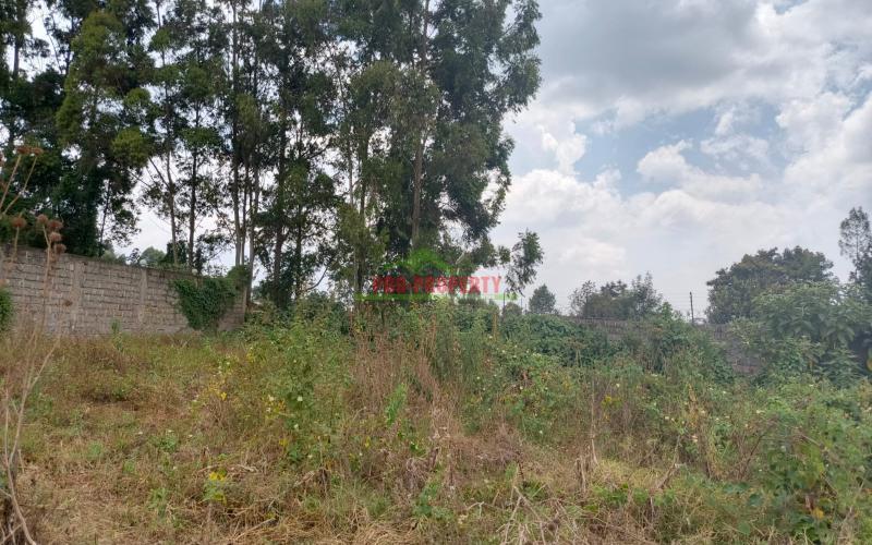 100by100, Prime, Ready To Develop Plot In Sigona,