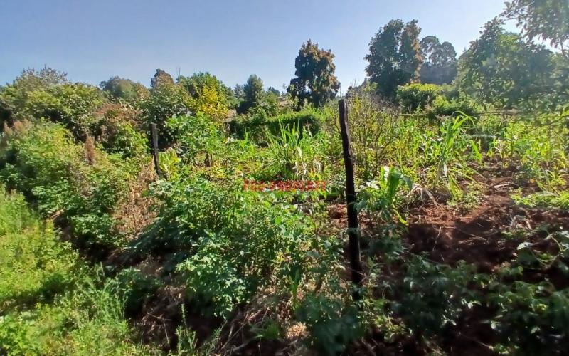 Ready To Build Plots For Sale In Lusingeti