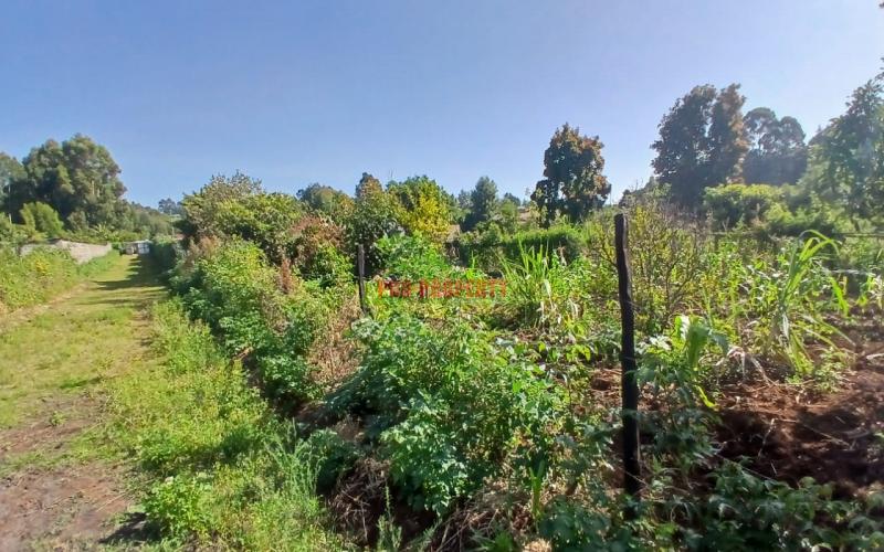 Ready To Build Plots For Sale In Lusingeti