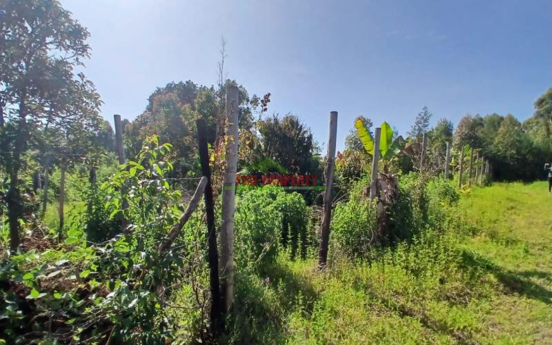 Ready To Build Plots For Sale In Lusingeti