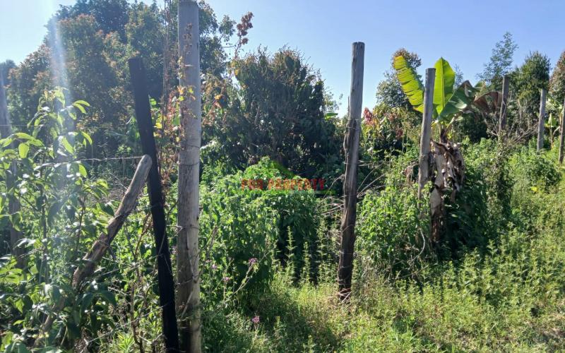 Ready To Build Plots For Sale In Lusingeti