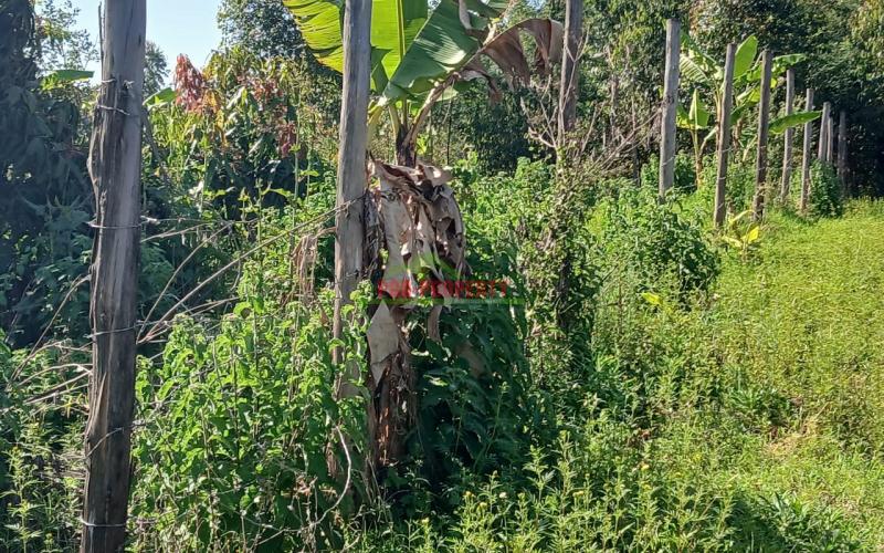 Ready To Build Plots For Sale In Lusingeti