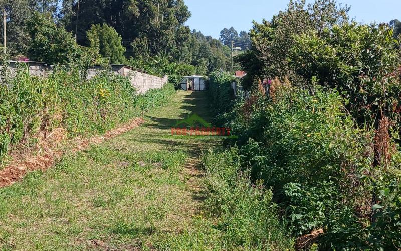 Ready To Build Plots For Sale In Lusingeti