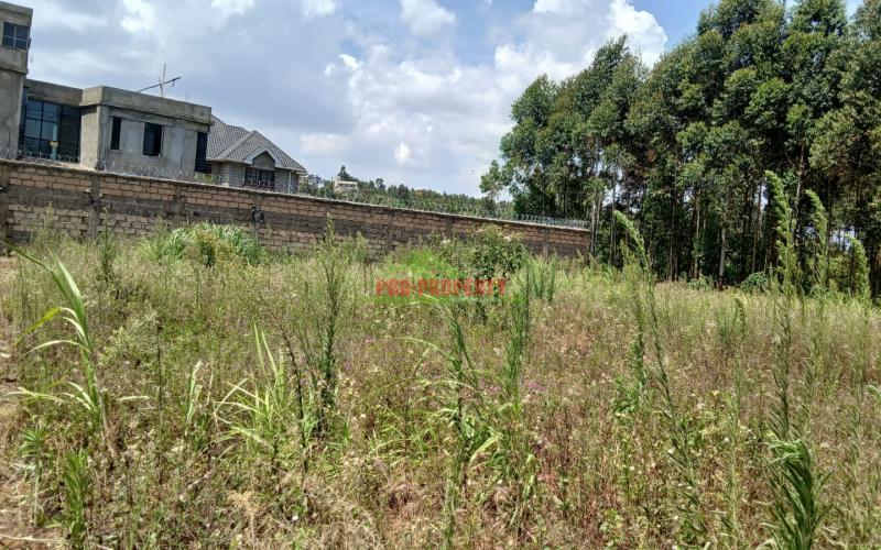 Prime Residential 50x100fts Plots For Sale In Kikuyu,lusingetti