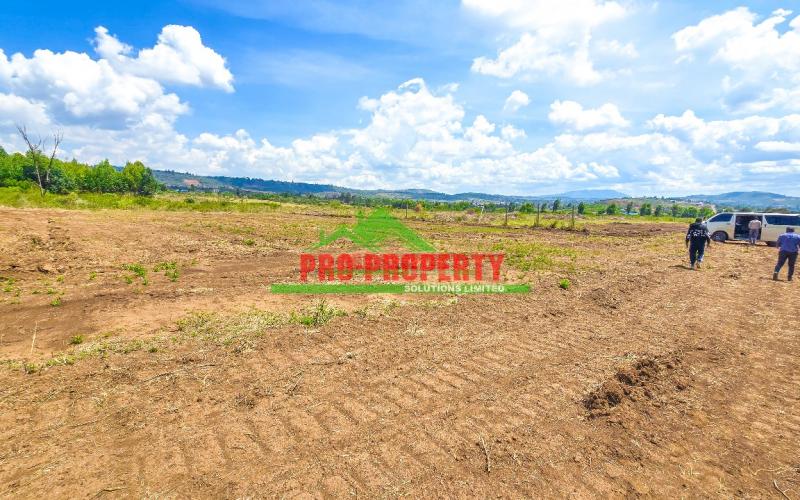 Real Estate Investment Opportunities In Kikuyu