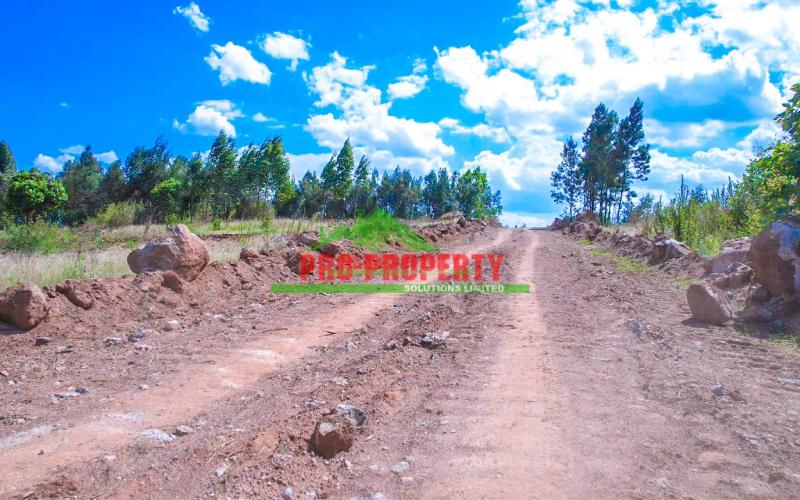 Ready To Build 100 By 100ft Plots For Sale In Gikambura
