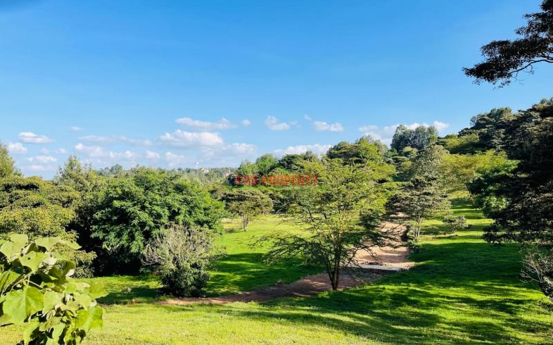 Prime 100 By 100ft Residential Plots For Sale In Ngong, Kajiado In A Gated Community - Tulivu Estate.