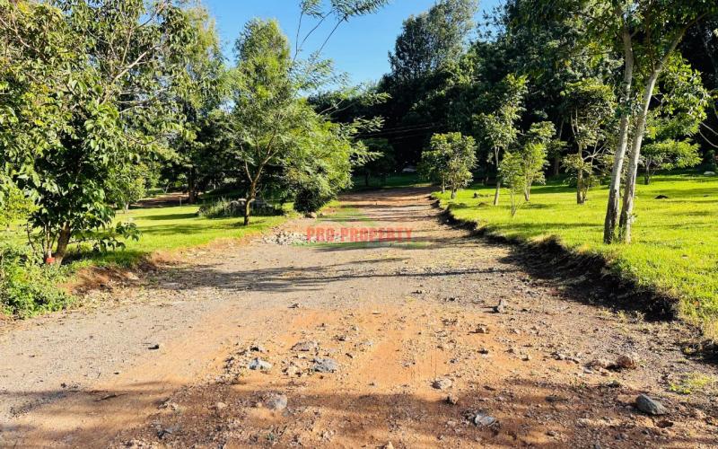 Prime 100 By 100ft Residential Plots For Sale In Ngong, Kajiado In A Gated Community - Tulivu Estate.