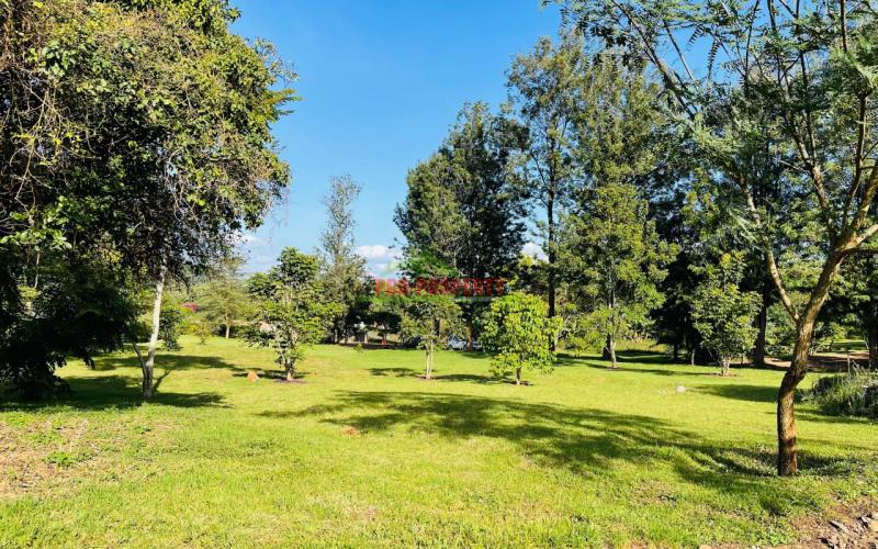 Prime 100 By 100ft Residential Plots For Sale In Ngong, Kajiado In A Gated Community - Tulivu Estate.