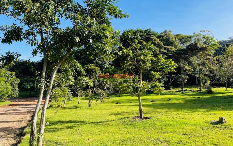 Prime 100 By 100ft Residential Plots For Sale In Ngong, Kajiado In A Gated Community - Tulivu Estate.