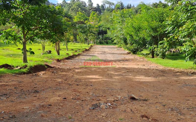 Prime 100 By 100ft Residential Plots For Sale In Ngong, Kajiado In A Gated Community - Tulivu Estate.