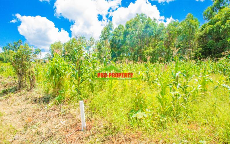 Ready To Build Plots For Sale With Ready Title Deeds!! In Gikambura