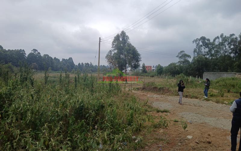 Prime, Ready To Build 50by100 Plot In Ondiri, Kikuyu