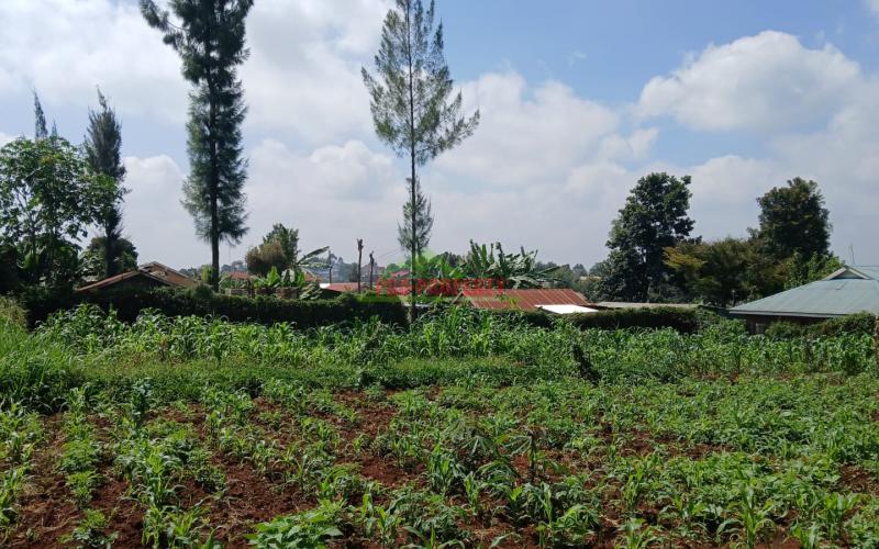 Prime  100 By 100 Commercial Plot For Sale In Kikuyu,gikambura