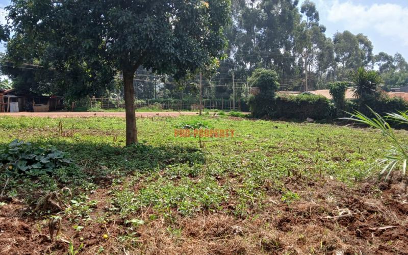 Prime  100 By 100 Commercial Plot For Sale In Kikuyu,gikambura
