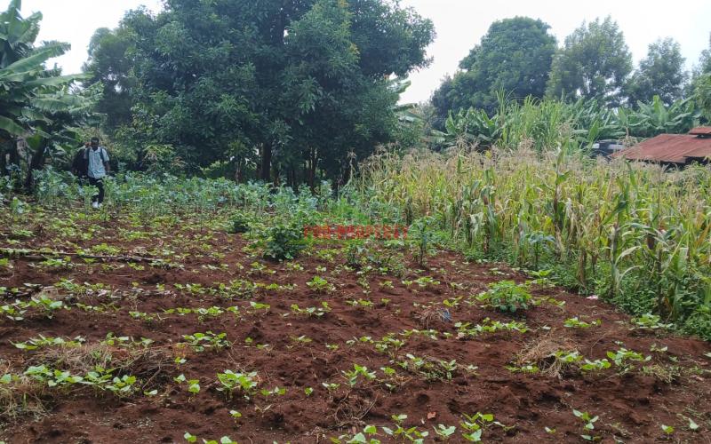 Prime 100 By 100fts Commercial Plot For Sale In Kikuyu,thogoto Area