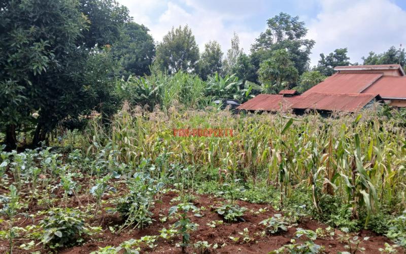 Prime 100 By 100fts Commercial Plot For Sale In Kikuyu,thogoto Area