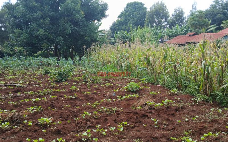 Prime 100 By 100fts Commercial Plot For Sale In Kikuyu,thogoto Area