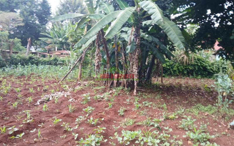 Prime 100 By 100fts Commercial Plot For Sale In Kikuyu,thogoto Area