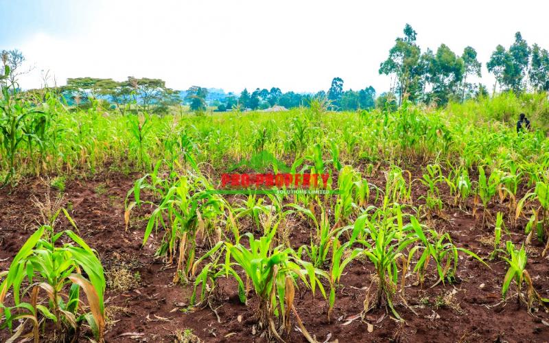 Residential 100 By 100ft Plot For Sale In Gikambura- Prime Location