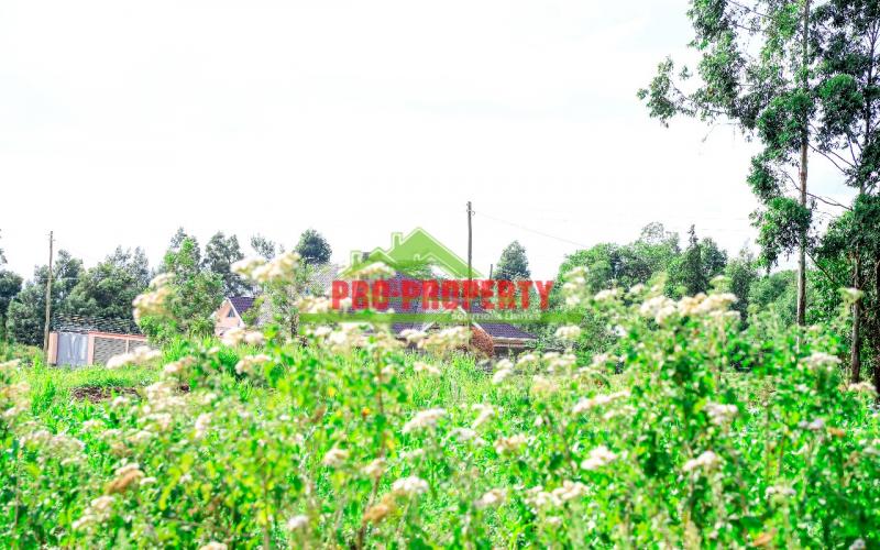 Prime Land For Sale In Gated Community Near Nairobi - Affordable & Accessible