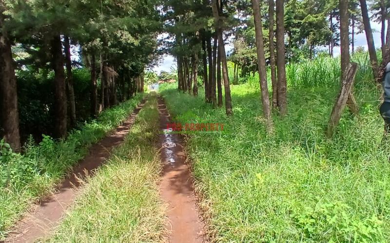 Prime  76 By 100fts Commercial Plot For Sale In Kikuyu – Regen (just 50m Off Waiyaki Way)