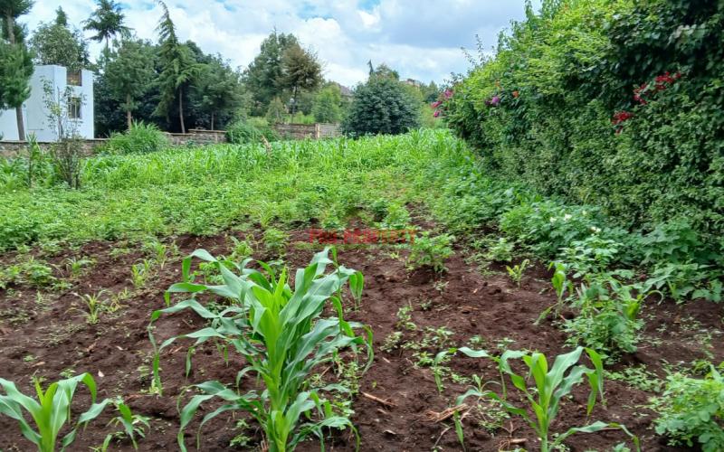 Prime 100 By 100 Residential  Plots For Sale In Kikuyu,muguga