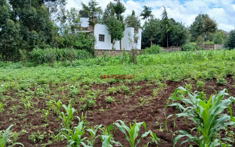 Prime 100 By 100 Residential  Plots For Sale In Kikuyu,muguga