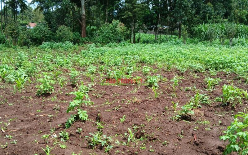 Prime 100 By 100 Residential  Plots For Sale In Kikuyu,muguga