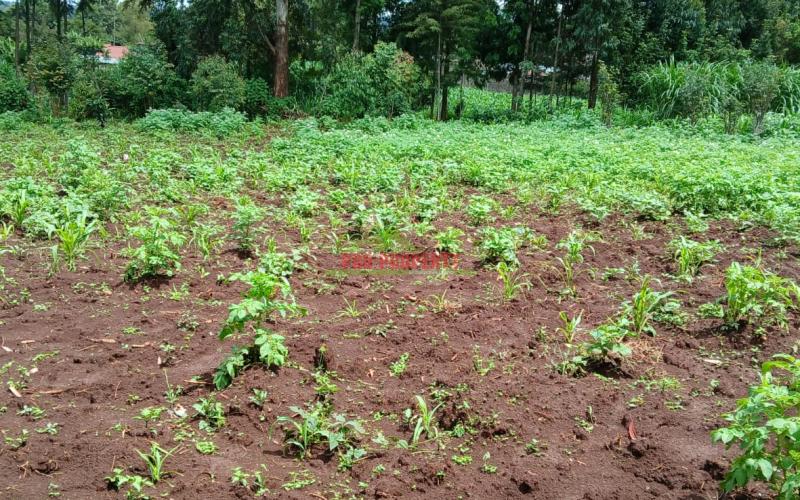 Prime 100 By 100 Residential  Plots For Sale In Kikuyu,muguga