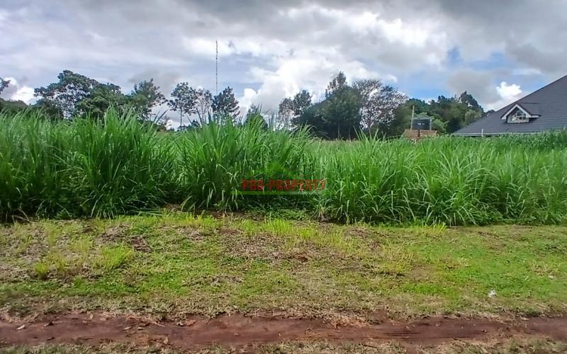 Prime100 By 100fts  Residential Plot For Sale In Kikuyu,ondiri