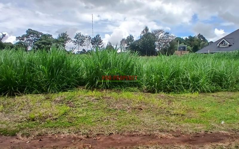 Prime100 By 100fts  Residential Plot For Sale In Kikuyu,ondiri