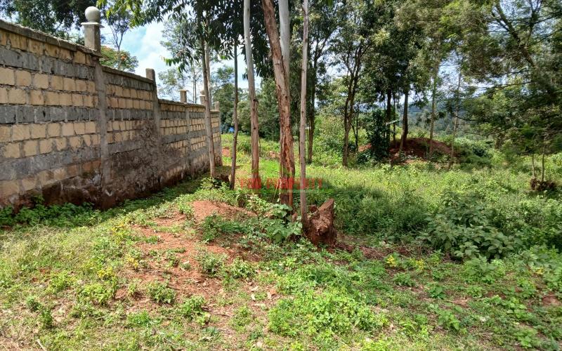 Prime   50 By 100ft   Residential Plot For Sale In Kikuyu,lusigetti