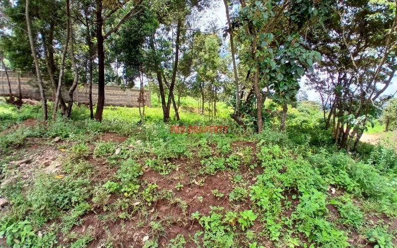 Prime   50 By 100ft   Residential Plot For Sale In Kikuyu,lusigetti