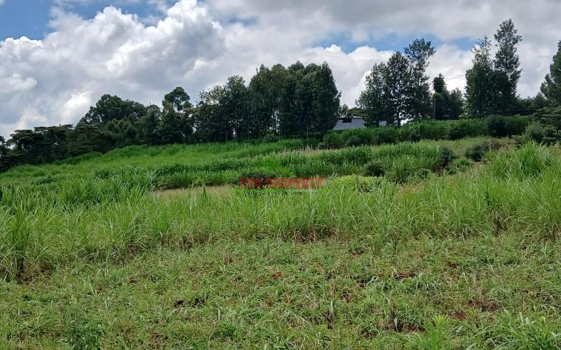 Prime 50 By 100ft Plots For Sale In Kikuyu,gikambura