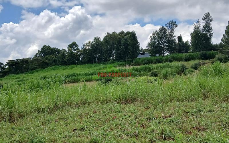 Prime 50 By 100ft Plots For Sale In Kikuyu,gikambura