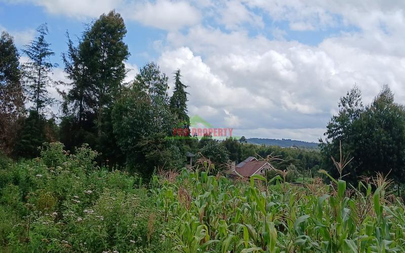 PRIME 50 BY 100FT PLOTS FOR SALE IN KIKUYU,GIKAMBURA